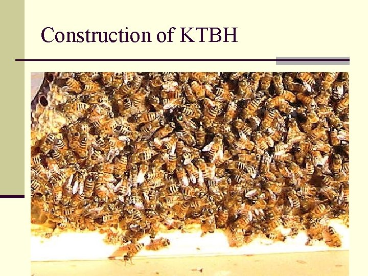 Construction of KTBH 