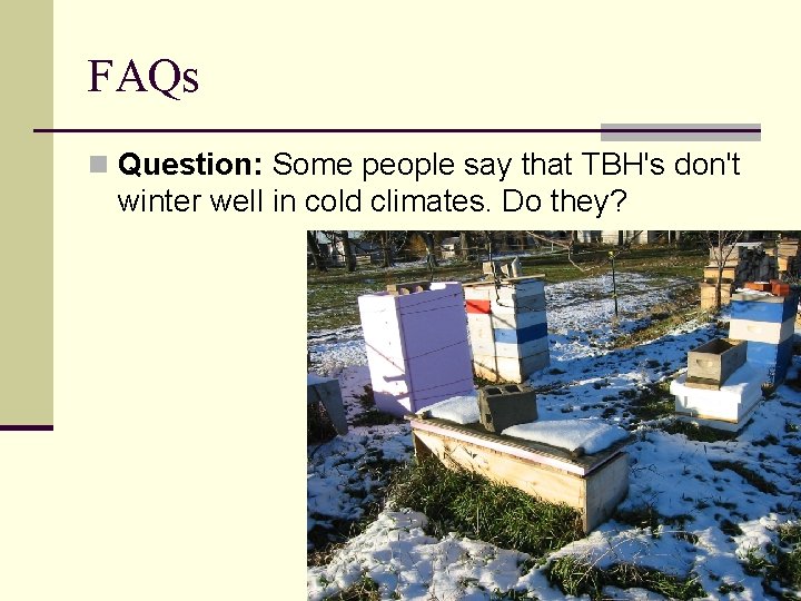 FAQs n Question: Some people say that TBH's don't winter well in cold climates.