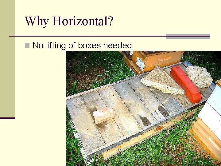 Why Horizontal? n No lifting of boxes needed 