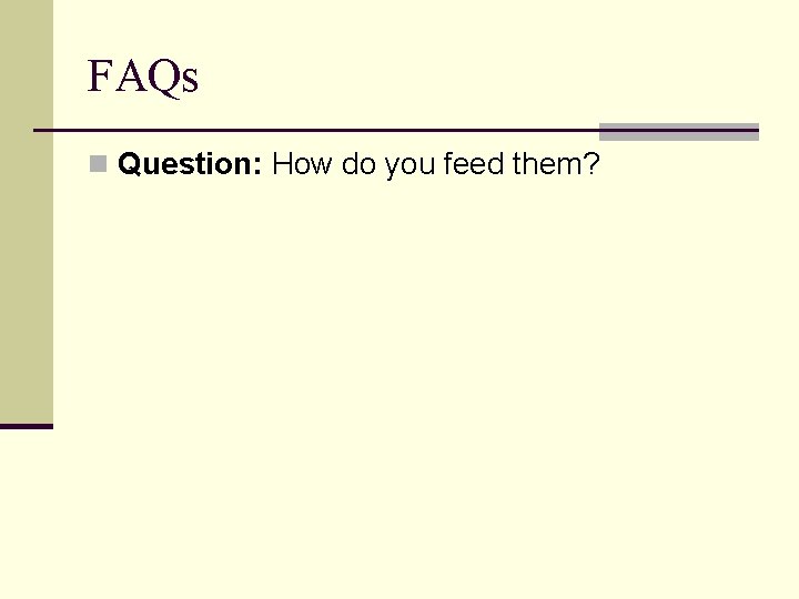 FAQs n Question: How do you feed them? 