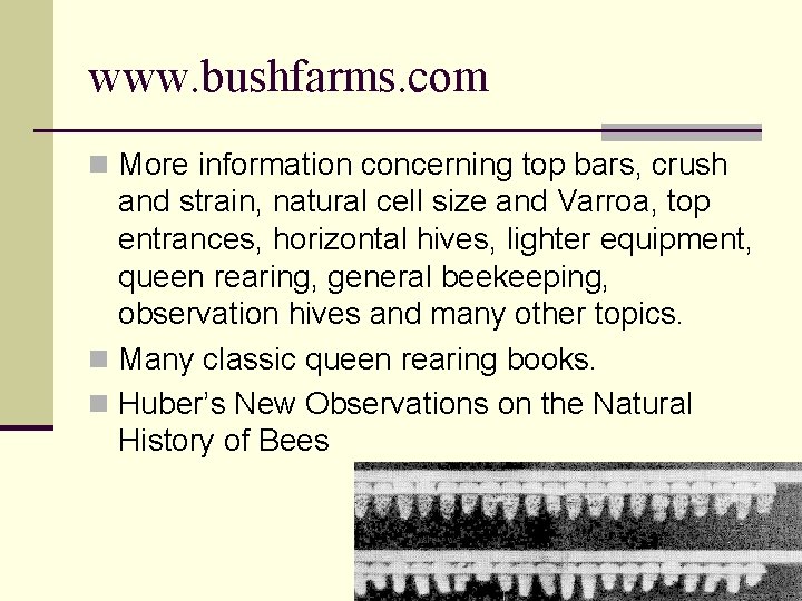 www. bushfarms. com n More information concerning top bars, crush and strain, natural cell