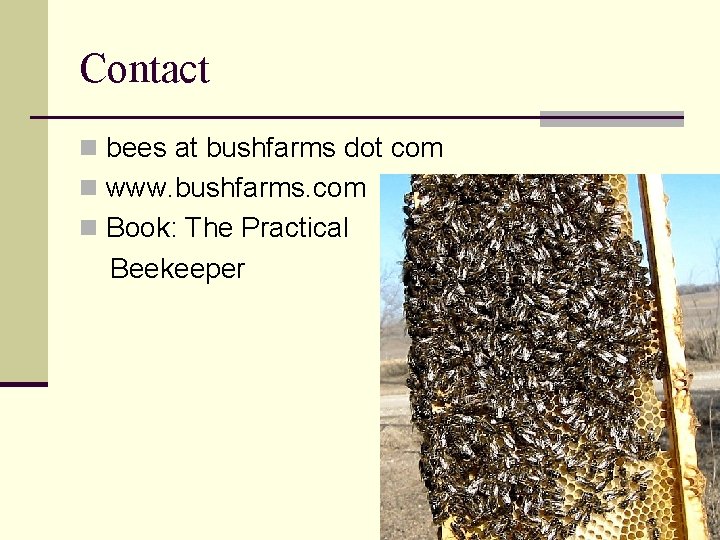 Contact n bees at bushfarms dot com n www. bushfarms. com n Book: The