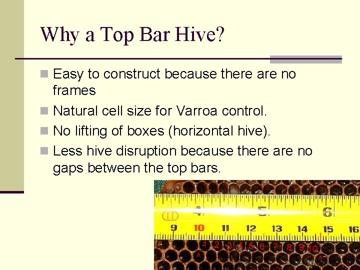 Why a Top Bar Hive? n Easy to construct because there are no frames