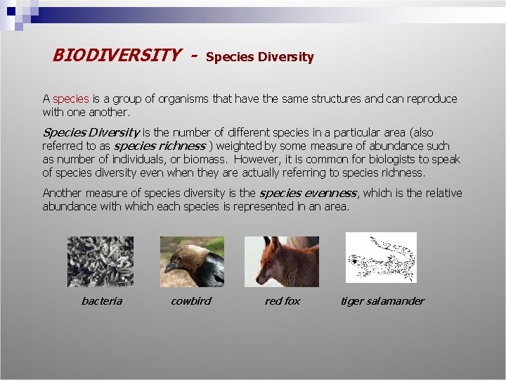 BIODIVERSITY - Species Diversity A species is a group of organisms that have the