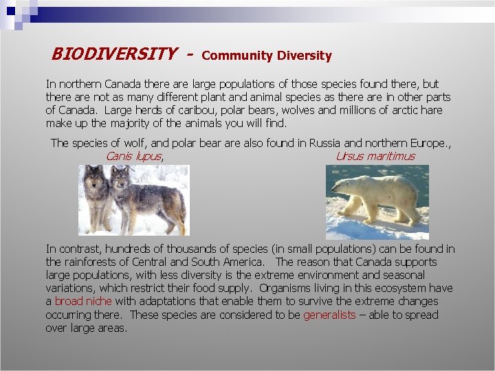 BIODIVERSITY - Community Diversity In northern Canada there are large populations of those species