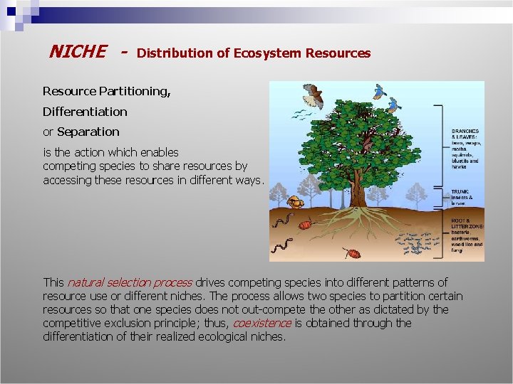 NICHE - Distribution of Ecosystem Resources Resource Partitioning, Differentiation or Separation is the action