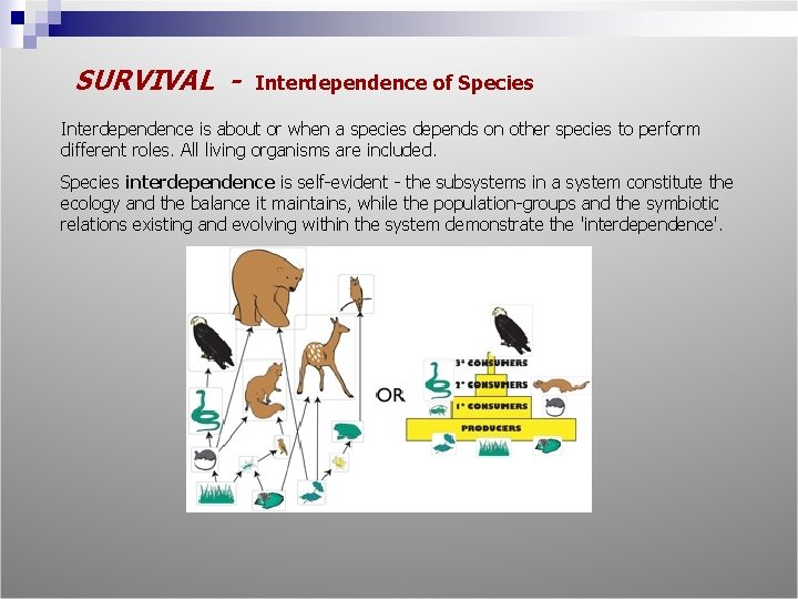 SURVIVAL - Interdependence of Species Interdependence is about or when a species depends on