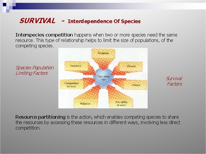 SURVIVAL - Interdependence Of Species Interspecies competition happens when two or more species need