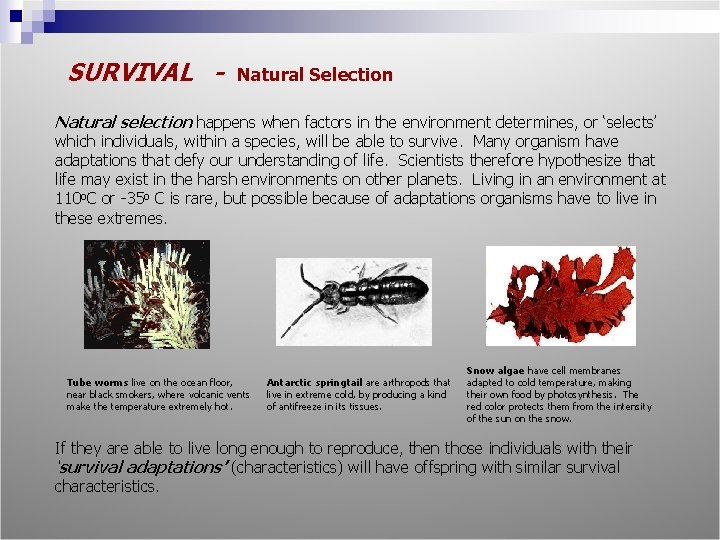 SURVIVAL - Natural Selection Natural selection happens when factors in the environment determines, or