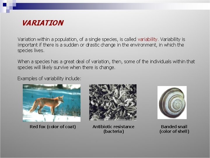 VARIATION Variation within a population, of a single species, is called variability. Variability is