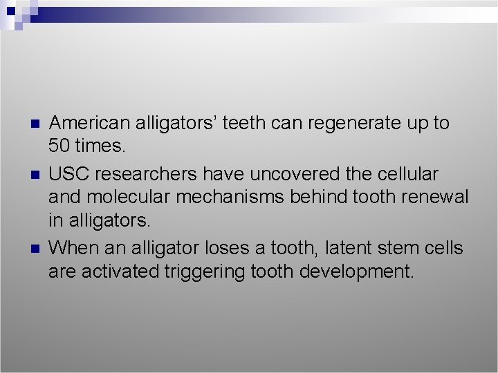 n n n American alligators’ teeth can regenerate up to 50 times. USC researchers