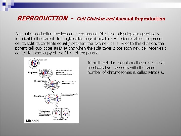 REPRODUCTION - Cell Division and Asexual Reproduction Asexual reproduction involves only one parent. All