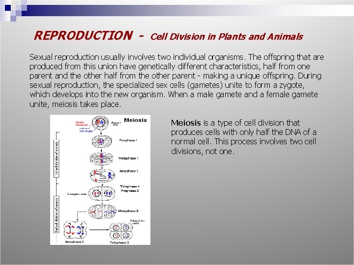 REPRODUCTION - Cell Division in Plants and Animals Sexual reproduction usually involves two individual