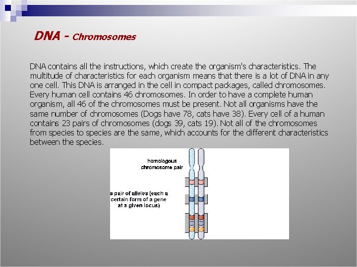 DNA - Chromosomes DNA contains all the instructions, which create the organism's characteristics. The