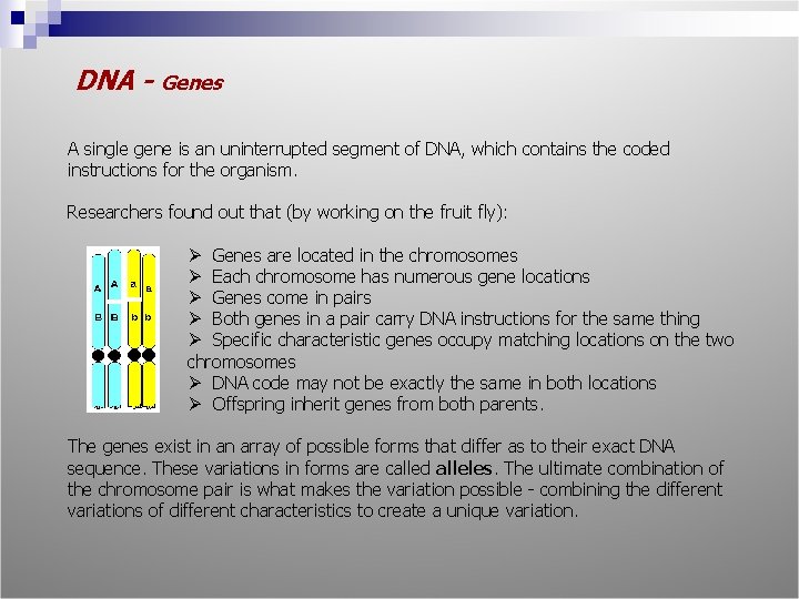 DNA - Genes A single gene is an uninterrupted segment of DNA, which contains