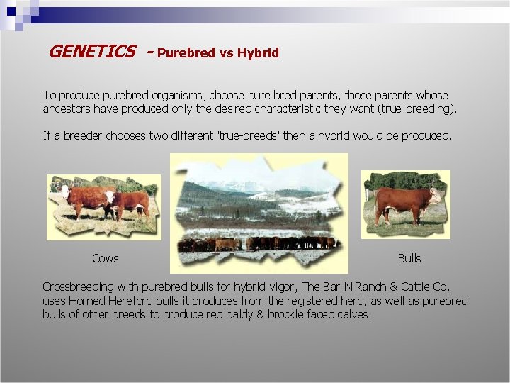 GENETICS - Purebred vs Hybrid To produce purebred organisms, choose pure bred parents, those