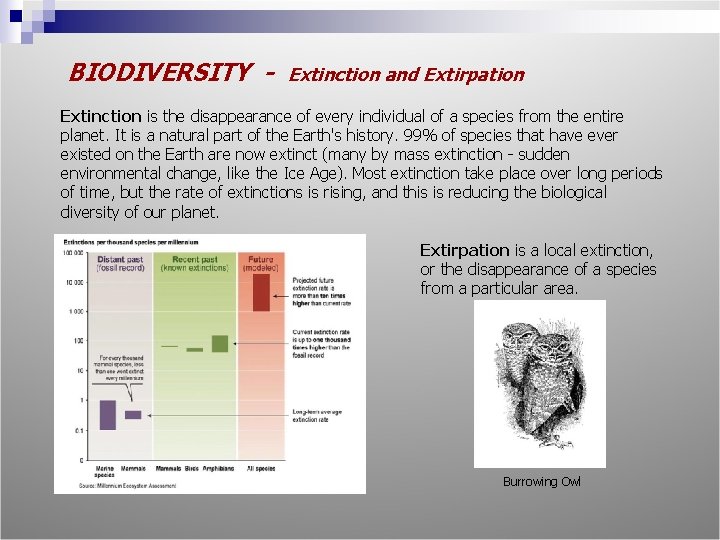 BIODIVERSITY - Extinction and Extirpation Extinction is the disappearance of every individual of a