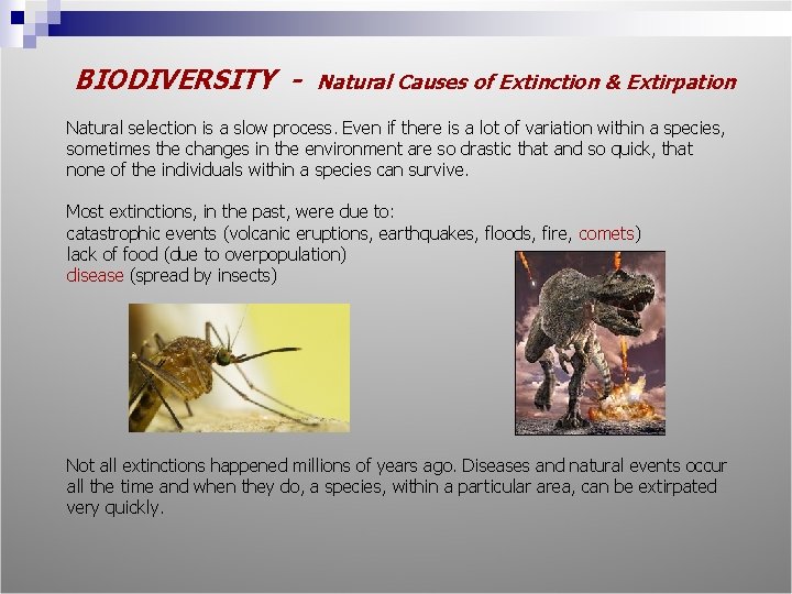 BIODIVERSITY - Natural Causes of Extinction & Extirpation Natural selection is a slow process.