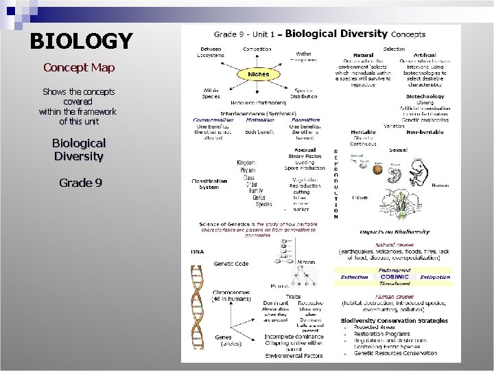 BIOLOGY Concept Map Shows the concepts covered within the framework of this unit Biological