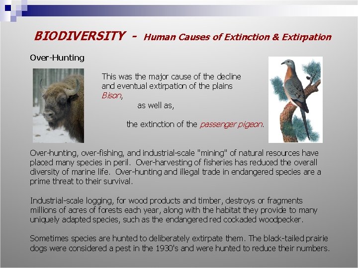 BIODIVERSITY - Human Causes of Extinction & Extirpation Over-Hunting This was the major cause