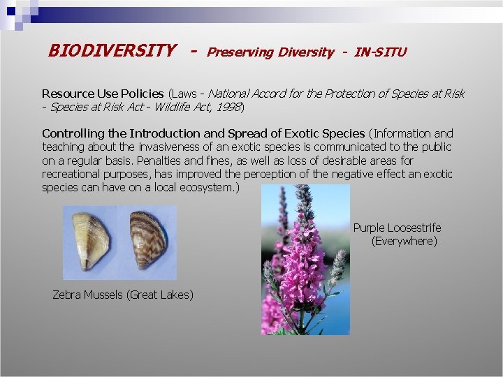 BIODIVERSITY - Preserving Diversity - IN-SITU Resource Use Policies (Laws - National Accord for