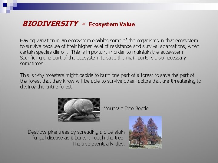BIODIVERSITY - Ecosystem Value Having variation in an ecosystem enables some of the organisms