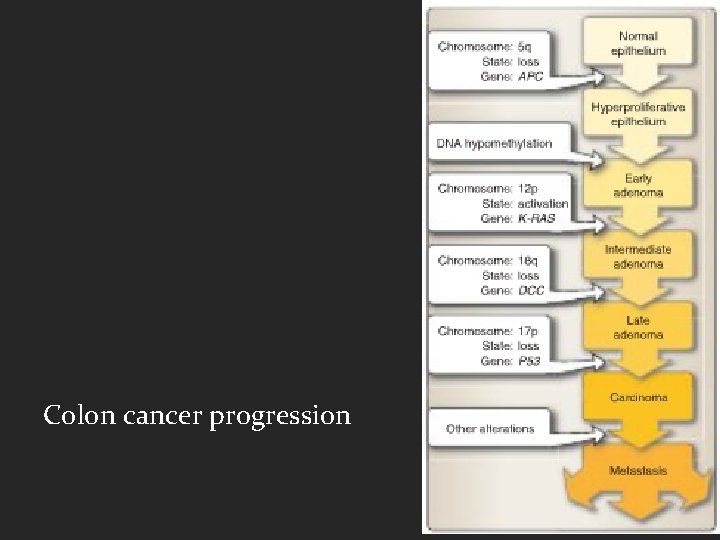 Colon cancer progression 