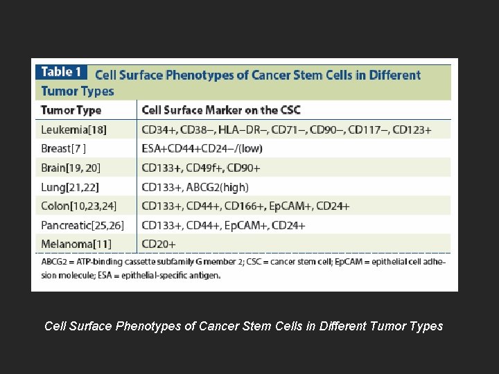 Cell Surface Phenotypes of Cancer Stem Cells in Different Tumor Types 