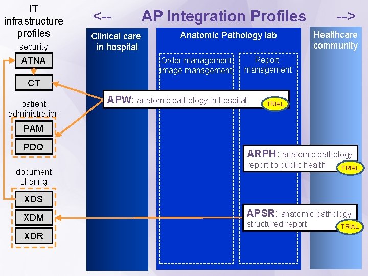 IT infrastructure profiles security ATNA <-Clinical care in hospital AP Integration Profiles Anatomic Pathology