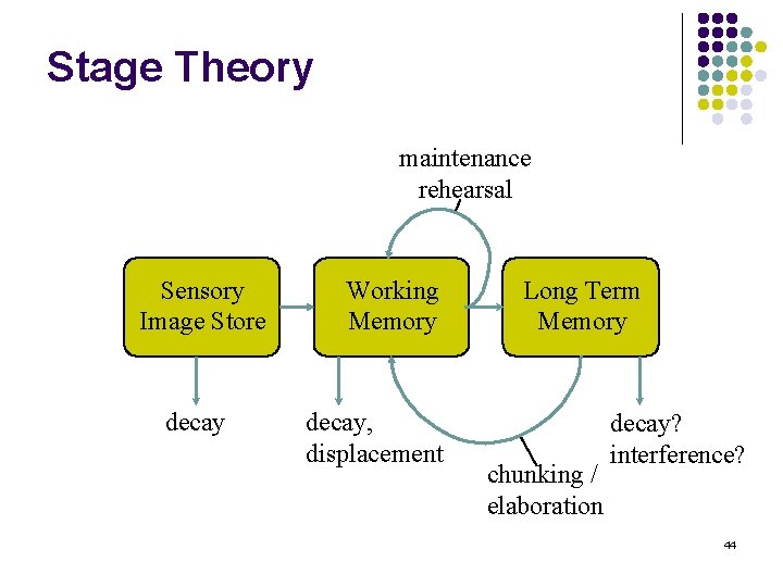 Stage Theory maintenance rehearsal Sensory Image Store decay Working Memory decay, displacement Long Term