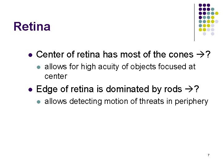 Retina l Center of retina has most of the cones ? l l allows