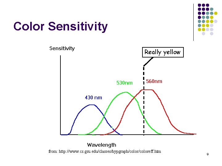 Color Sensitivity Really yellow from: http: //www. cs. gsu. edu/classes/hypgraph/coloreff. htm 9 