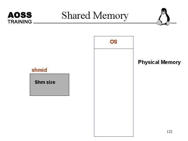  Shared Memory OS Physical Memory shmid Shm size 123 