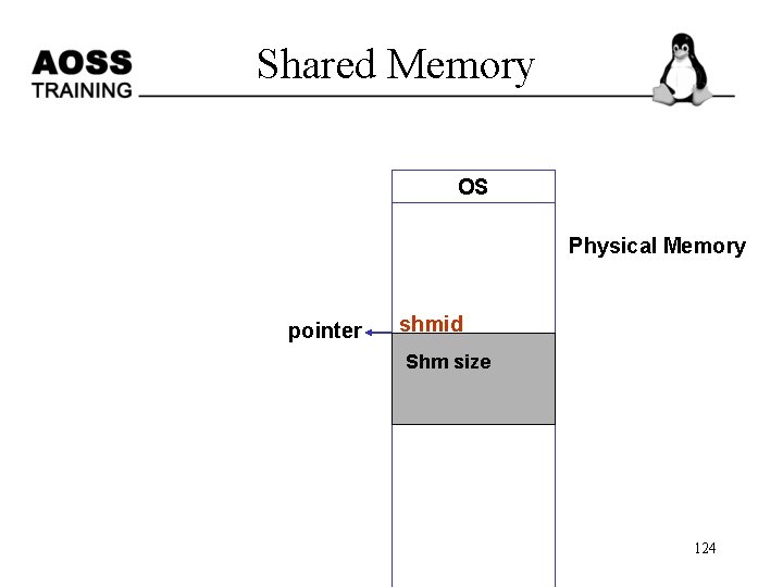  Shared Memory OS Physical Memory pointer shmid Shm size 124 