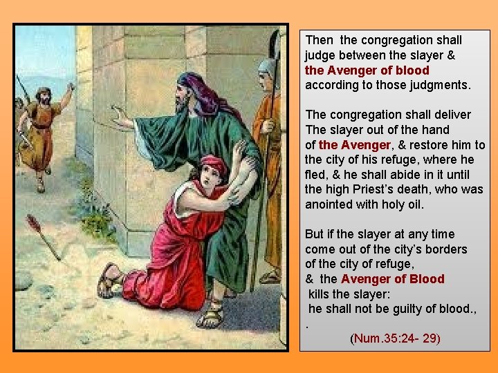 Then the congregation shall judge between the slayer & the Avenger of blood according