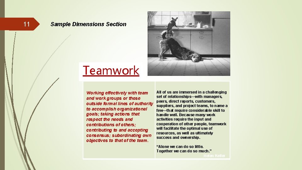11 Sample Dimensions Section Teamwork Working effectively with team and work groups or those