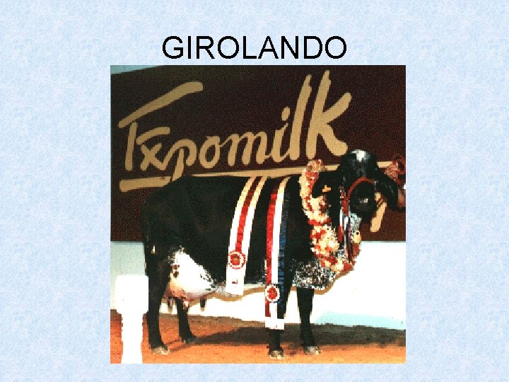 GIROLANDO 