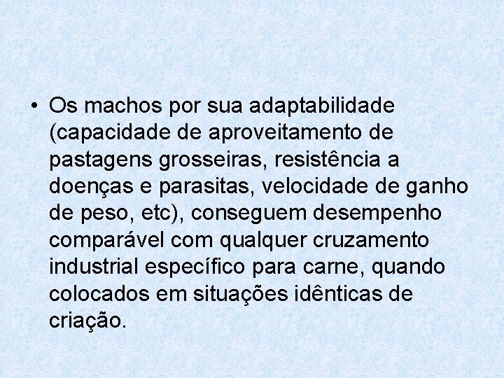  • Os machos por sua adaptabilidade (capacidade de aproveitamento de pastagens grosseiras, resistência