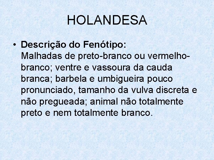 HOLANDESA • Descrição do Fenótipo: Malhadas de preto-branco ou vermelhobranco; ventre e vassoura da