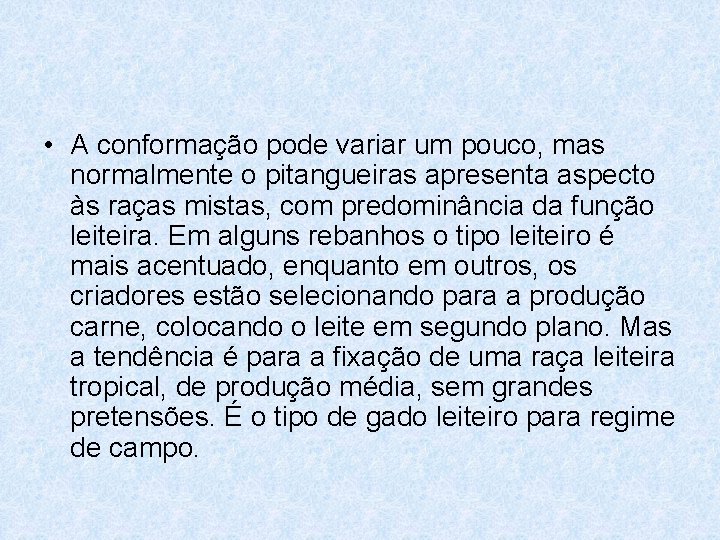  • A conformação pode variar um pouco, mas normalmente o pitangueiras apresenta aspecto