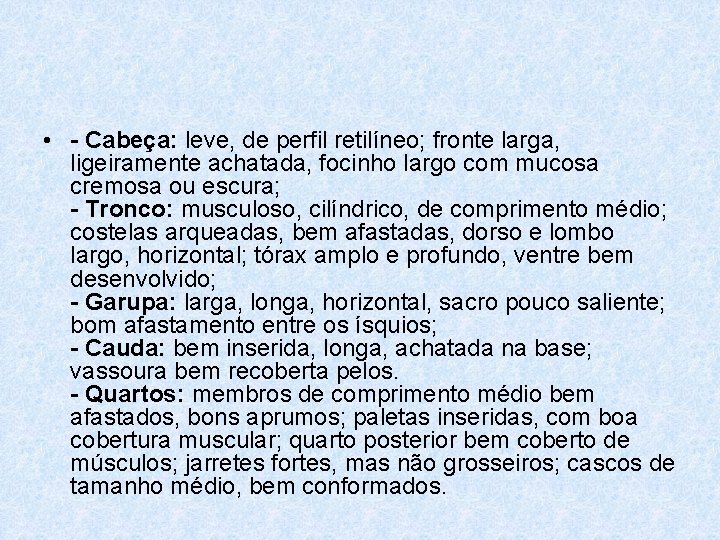  • - Cabeça: leve, de perfil retilíneo; fronte larga, ligeiramente achatada, focinho largo