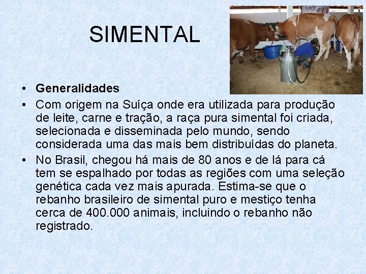 SIMENTAL • Generalidades • Com origem na Suíça onde era utilizada para produção de