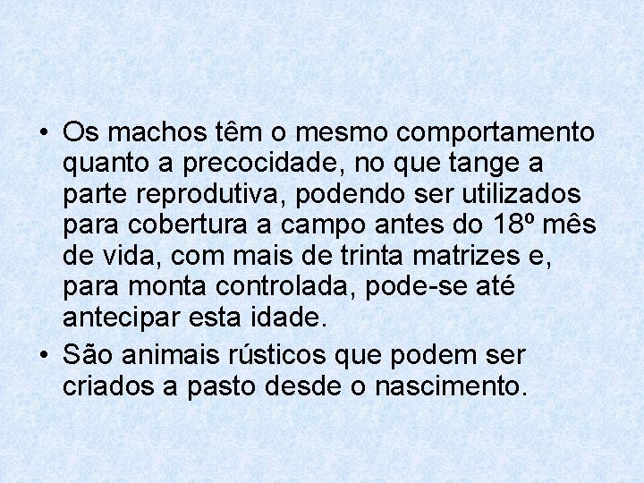  • Os machos têm o mesmo comportamento quanto a precocidade, no que tange