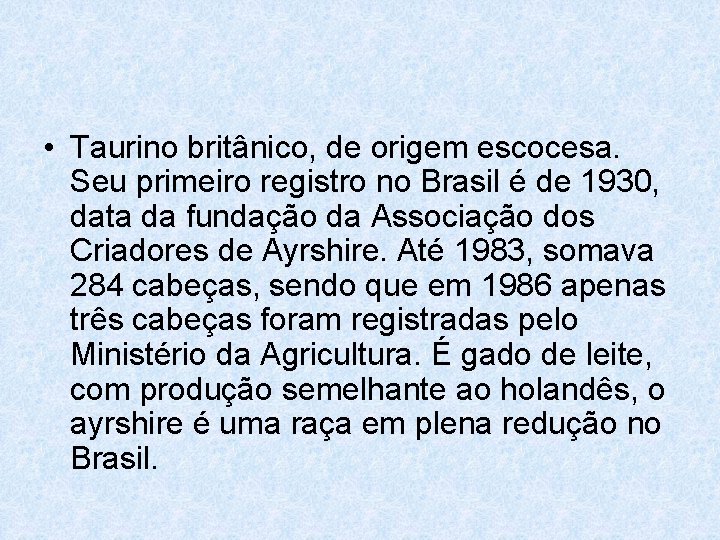  • Taurino britânico, de origem escocesa. Seu primeiro registro no Brasil é de