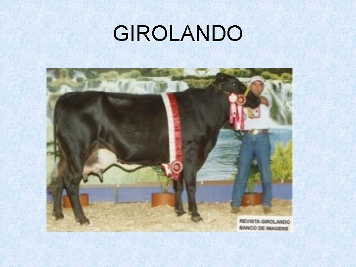 GIROLANDO 