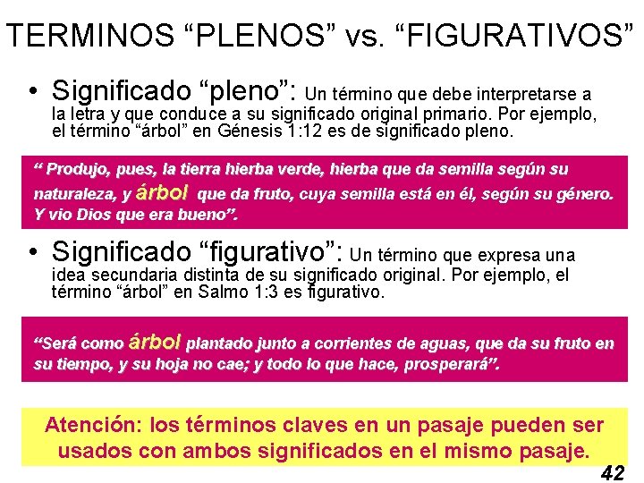 TERMINOS “PLENOS” vs. “FIGURATIVOS” • Significado “pleno”: Un término que debe interpretarse a la