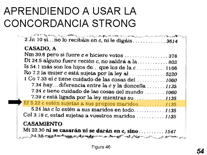 APRENDIENDO A USAR LA CONCORDANCIA STRONG 54 