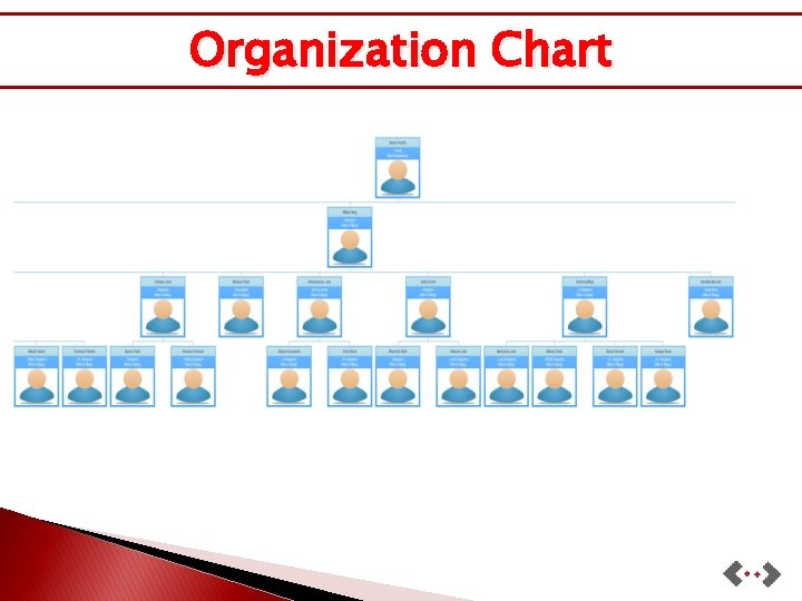 Organization Chart 