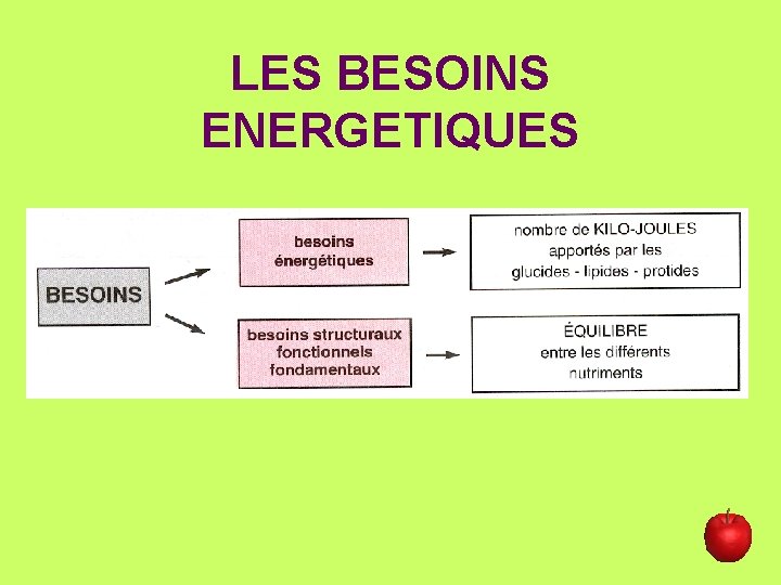 LES BESOINS ENERGETIQUES 