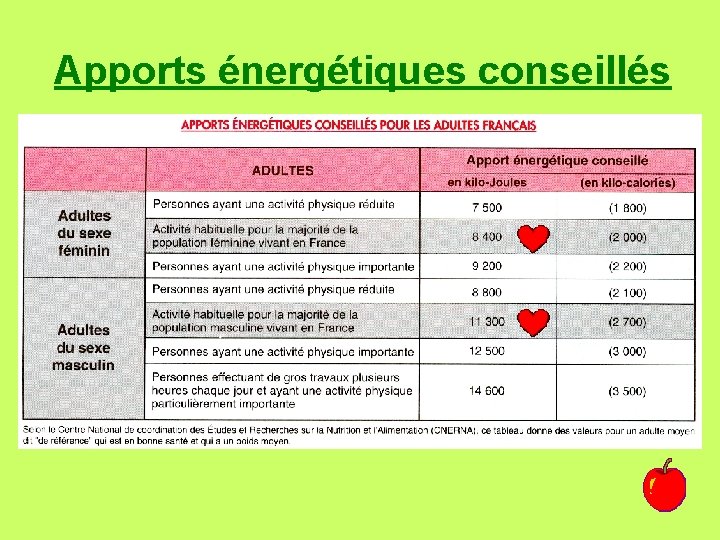 Apports énergétiques conseillés 